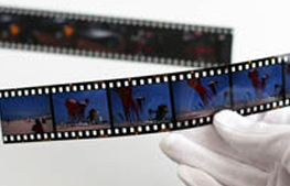 laborator foto